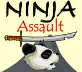 promo-ninjaassault.jpg